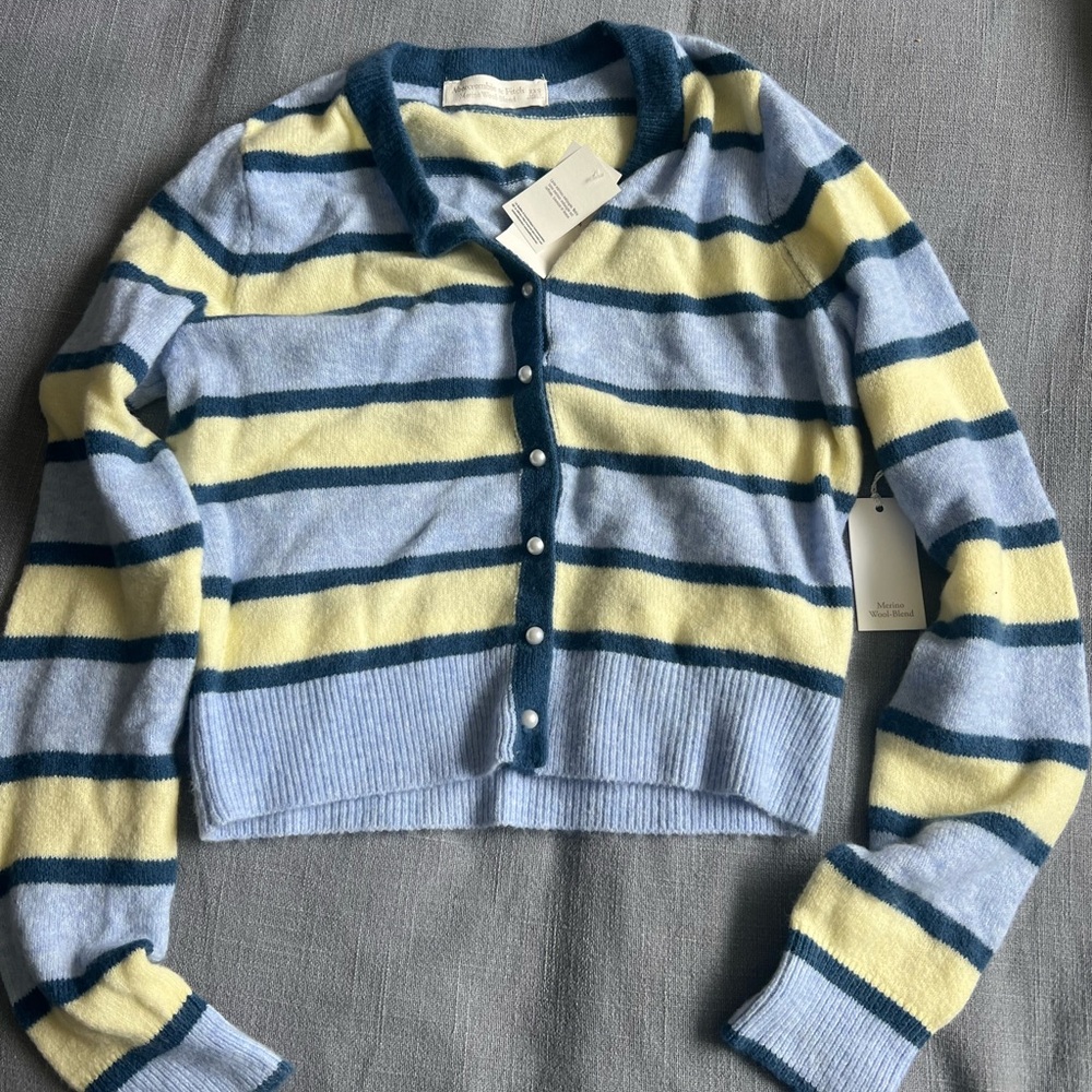 Abercrombie & Fitch Blue and Yellow Striped Cardigan
